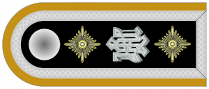 Shoulder bar for the rank of SS-Hauptscharführer, with white metal 'LAH' cypher