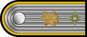 Shoulder bar for the rank of SS-Obersturmführer, with silver gilt metal 'LAH' cypher