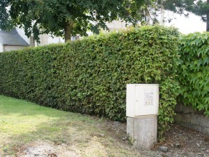 The same wall today, close to the entrance to the new Carrefour supermarket