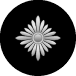 SS-Oberschütze Arm Patch