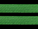 SS-Scharführer Arm Patch