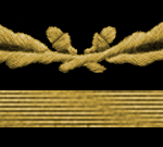 SS-Brigadeführer Arm Patch
