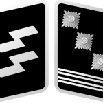 SS-Hauptsturmführer Collar Tabs
