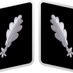 SS-Standartenführer Collar Tabs