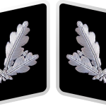 SS-Oberführer Collar Tabs