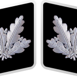 SS-Brigadeführer Collar Tabs