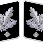 SS-Gruppenführer Collar Tabs