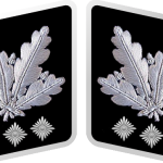 SS-Obergruppenführer Collar Tabs