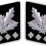 SS-Oberstgruppenführer Collar Tabs