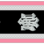 SS-Scharführer Shoulder Bar